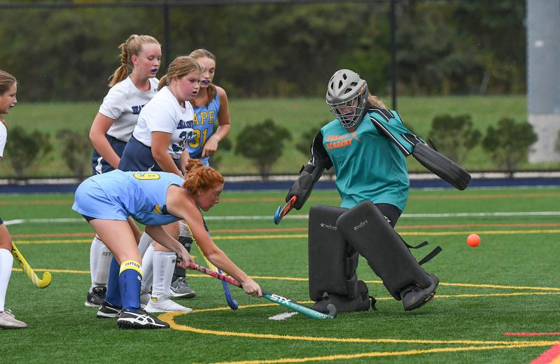 Mariner hockey shuts out Sussex Academy 80 Cape Gazette
