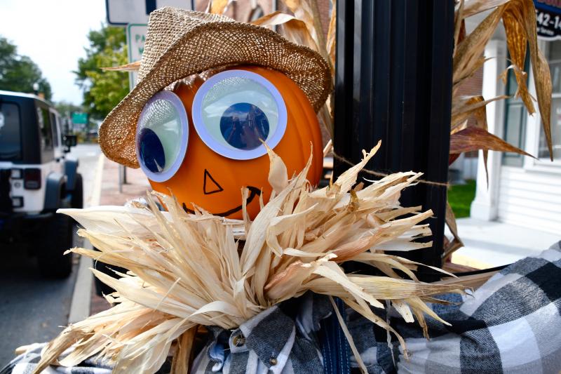 The better to see you with. Large eyes keep watch on downtown Georgetown thanks to the King Crop Insurance scarecrow.