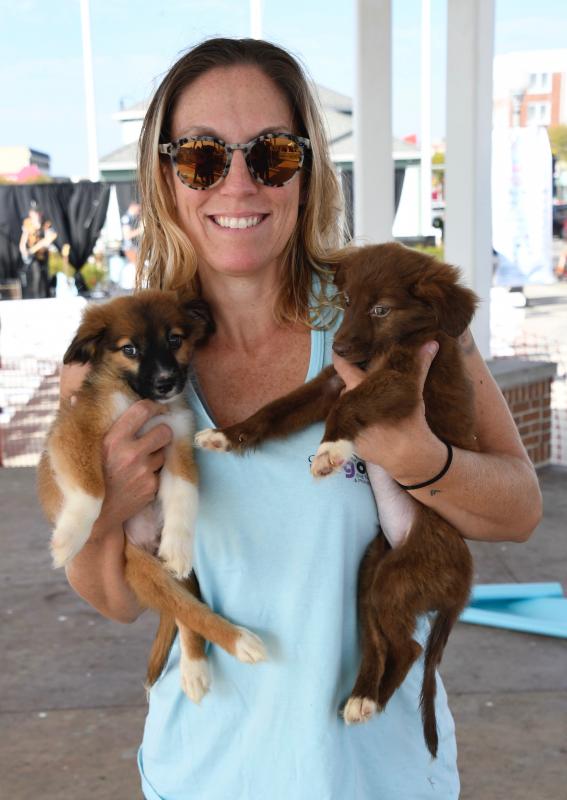 Tara Gush, owner of Get Your Wag On, offers yoga classes on the Bandstand. There is no way she could not pick up two border collie puppies available for adoption at the Brandywine Valley SPCA booth.