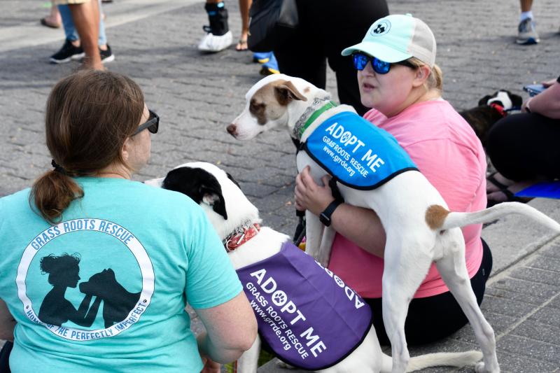 Adrienne Hegman, left, and Sarah Warren, volunteers with Grass Roots Rescue, spend time with Squaw, left, and Turin.