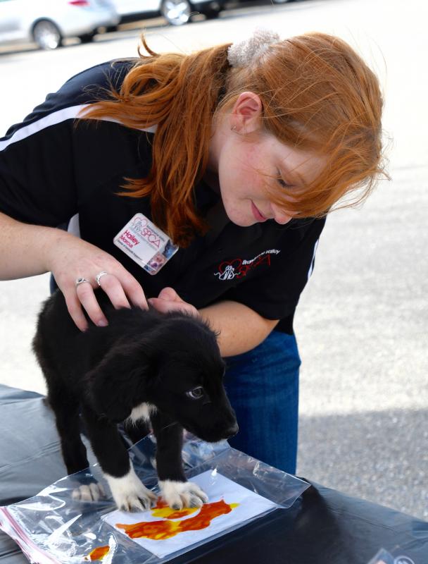 Brandywine Valley SPCA’s director of engagement Hailey Marcus creates paw-print artwork with a puppy.