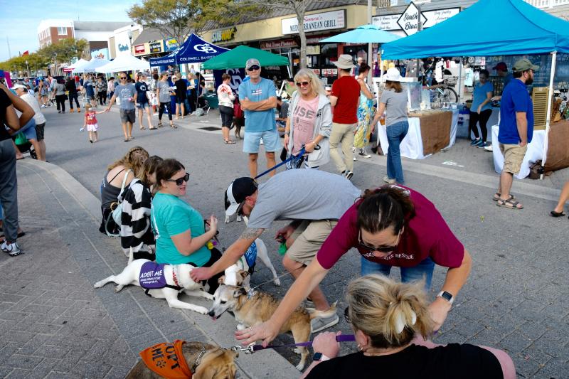 Grass Roots Rescue volunteers reach out to people attending Bark on the Boards with several dogs up for adoption. The all-volunteer, nonprofit organization saves dogs and cats that are at risk in shelters and the community.