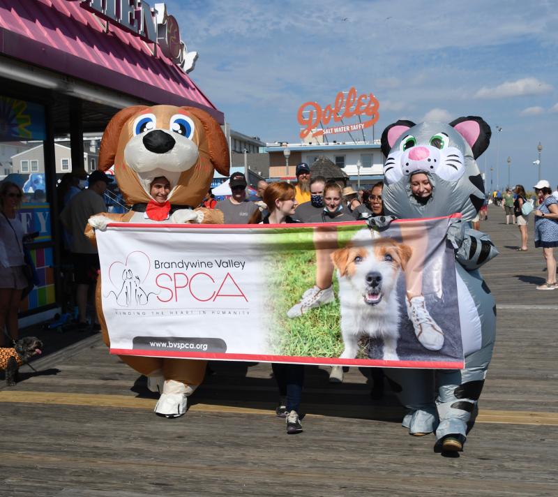 Volunteers with the Brandywine Valley SPCA lead a dog parade onto the Rehoboth Boardwalk during Bark on the Boards.