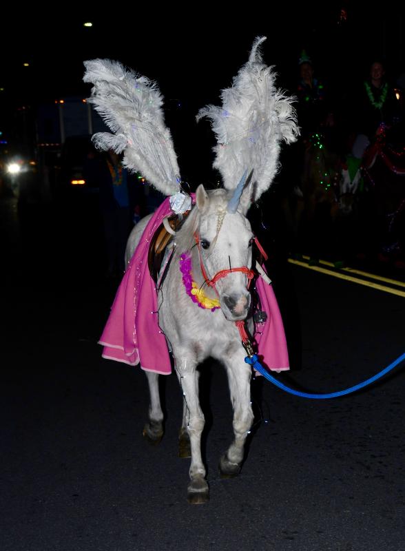 Don’t believe in unicorns? Well, if you were among the thousands watching the Lewes Christmas Parade you got to see one, thanks to Pairadice Equestrian in Milton, the top equestrian entry in the parade.