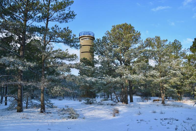 One of the iconic World War II towers provides the backdrop for a winter wonderland scene in Cape Henlopen State Park following a Jan. 7 snowfall. RON MACARTHUR PHOTO