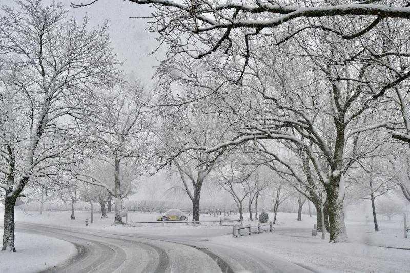 It might be a cliche, but the wet snow clings to everything to create a picturesque winter wonderland along Nassau Commons Boulevard near Lewes. RON MACARTHUR PHOTO