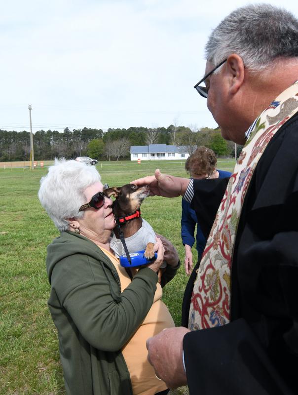 Pastor Emeritus Jim Vanderwall blesses Penny, a Chihuahua belonging to Lyn and Dave Mullen of Georgetown.