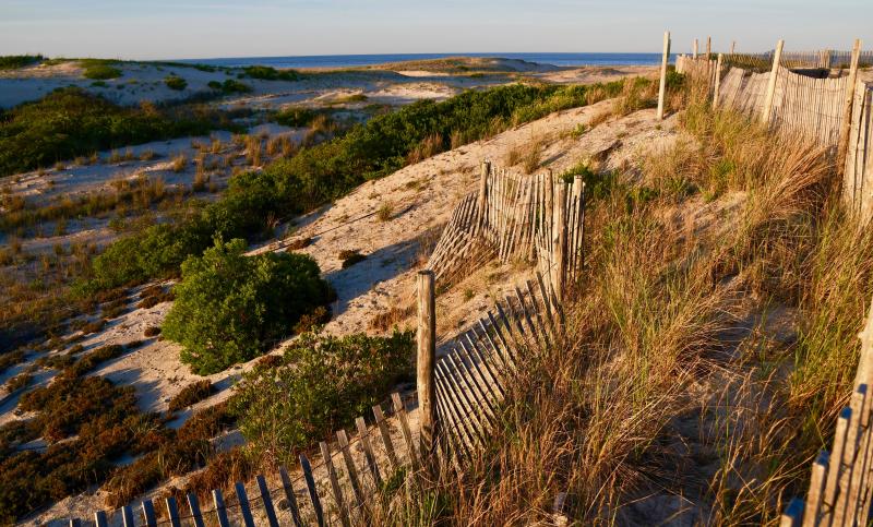 It doesn't get any better than Cape Henlopen State Park | Cape Gazette