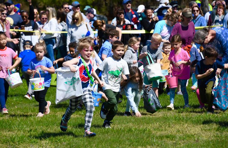They’re off! With hundreds of children taking part, the festival’s egg hunt was over in a few seconds.