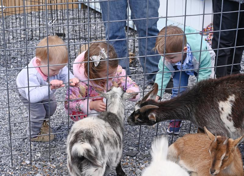 Checking out the goats are (l-r) Alexander, 2, and Savanna Engles, 4, of Greensboro, Md., and Luca Legnaiol, 3, of Berlin, Md.