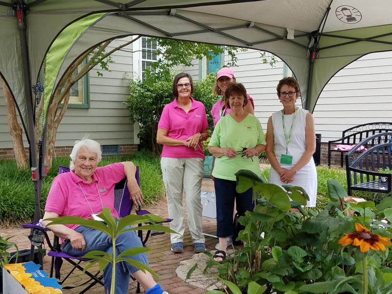 Garden Club Of Cape May Flower Show Best Flower Site