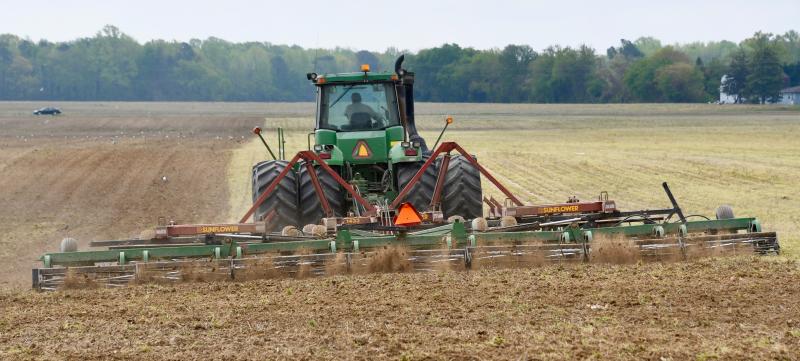 Although tourism seems to get the most attention, agriculture is still the No. 1 industry in Sussex County. While most farming is dedicated to producing soybeans and corn for poultry feed, farmers grow a variety of crops, including wheat, watermelons, cantaloupes, peaches, apples, strawberries, green and lima beans, and sweet corn. RON MACARTHUR PHOTO