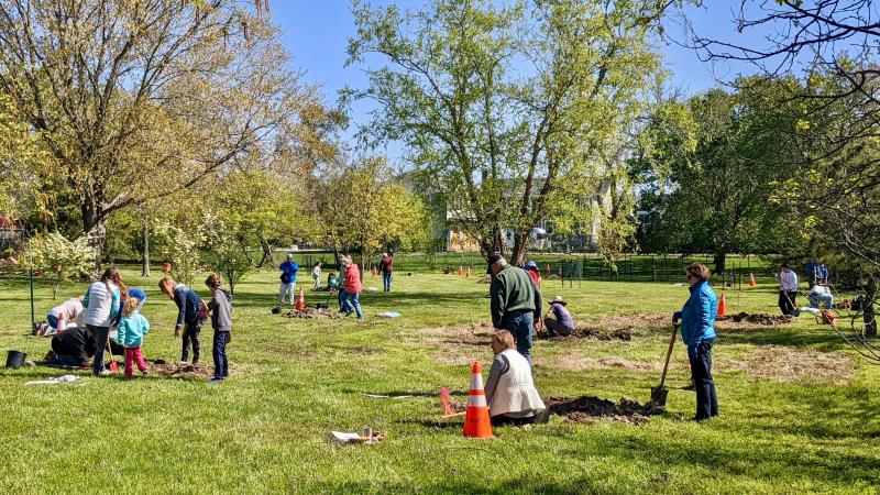 Lewes partnered with the state’s Urban Forestry Program and Lewes library to plant 25 trees on the 150th anniversary of Arbor Day. AARON MUSHRUSH PHOTOS