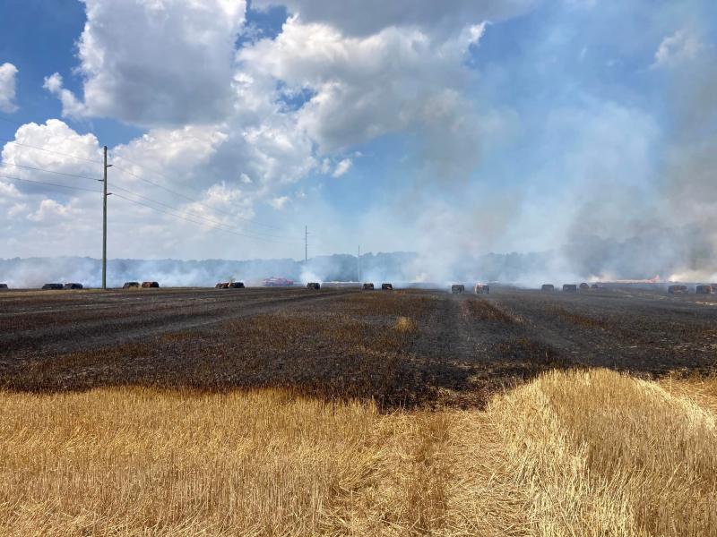 The fire burned about 50 acres of the field. LEWES FIRE DEPARTMENT PHOTO
