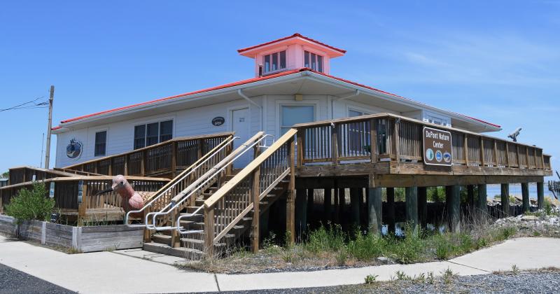 The DuPont Nature Center is a hidden gem in Delaware. Located east of Milford along Delaware Bay, the center is devoted to the unique habitats in the area.