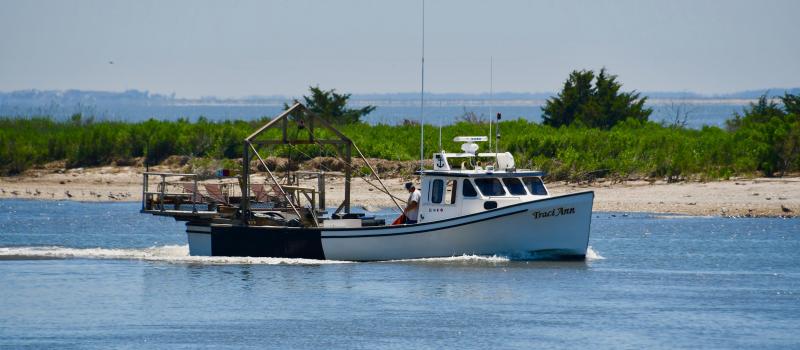 Mispillion Harbor, where Cedar Creek and the Mispillion River join, is a key outlet to Delaware Bay for commercial and recreational boats.