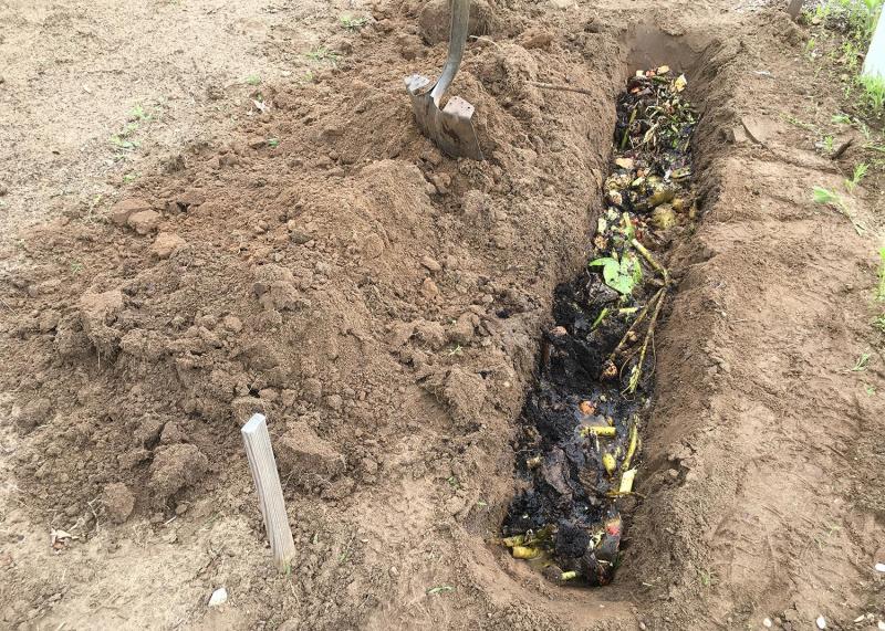 Composting directly in the garden Cape Gazette