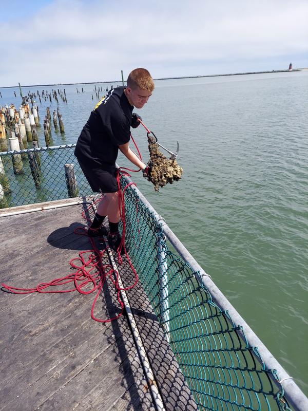 Vacationing teen cleans up metal from Delaware Bay