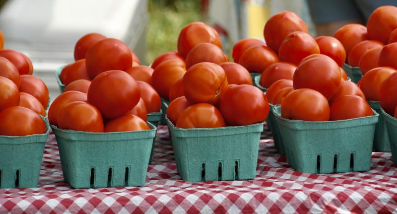 Tomatoes are plentiful at markets, as well as grown by backyard farmers, throughout Sussex County. Farmers in the county once shipped their tomatoes via train and boats throughout the region.