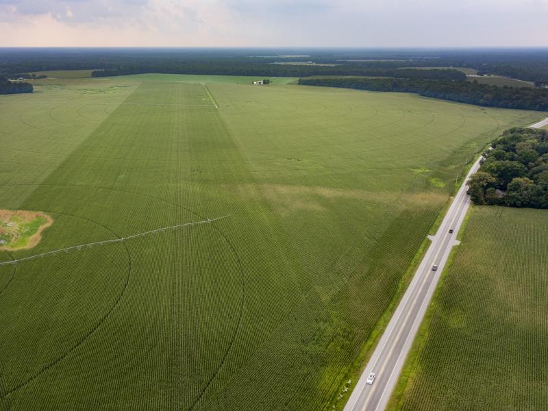 Developers of the Granary at Draper Farm project in Milton have asked for the community to be designated as a special development district. Under this plan, Granary property owners would be charged an additional levy on top of their property tax that would help pay for infrastructure related to the development. The Granary would be located on a 450-acre parcel on Sand Hill Road. NICK ROTH PHOTO