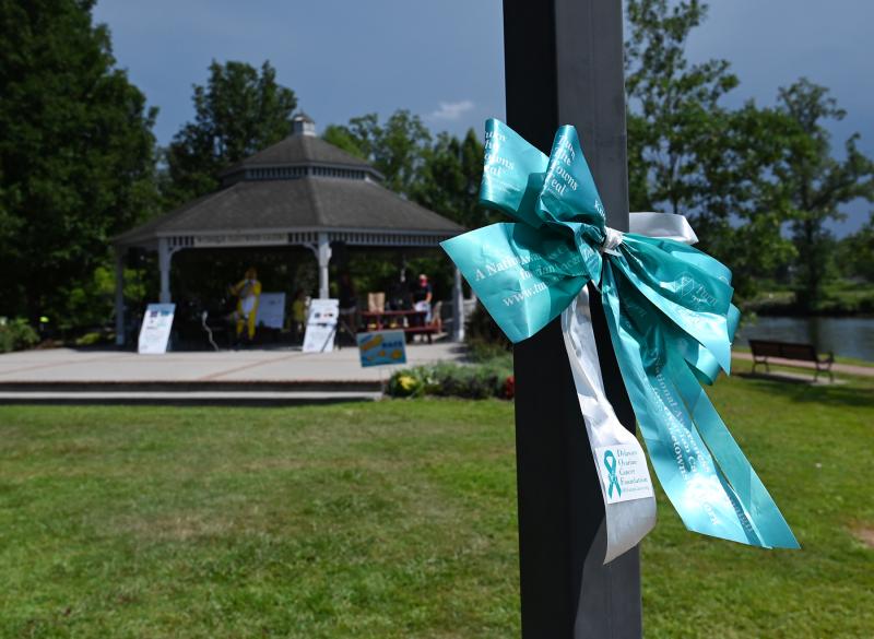 Like other Cape Region municipalities, Milton is participating in Turn the Town Teal to raise awareness for ovarian cancer.
