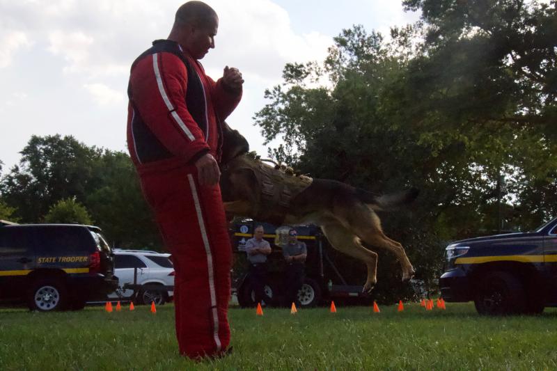 Delaware State Police Troop 7 Cpl. John Wilson braved the hot August night to wear the protective suit that K-9s use for training. The dogs are taught to bite and hold until their handler can detain the suspect safely.