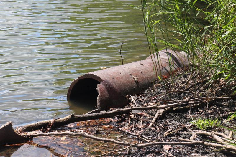Piping has been exposed as a result of the decreased water levels. Lewes officials say the State of Delaware approved flow from at least the old school building into the pond. AARON MUSHRUSH PHOTO
