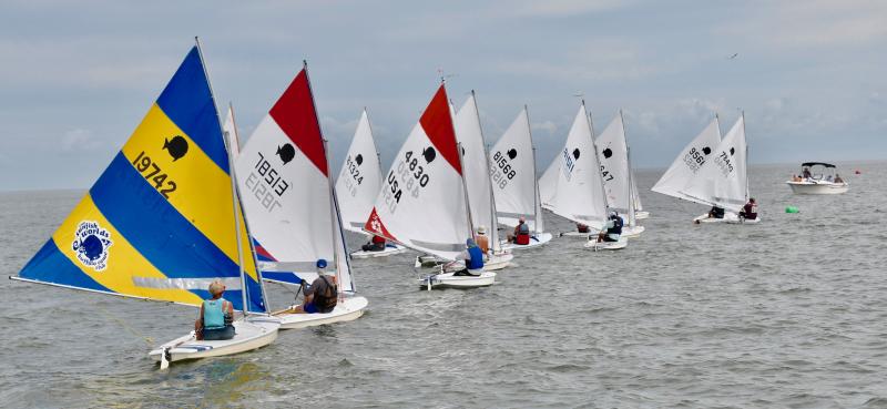 Sunfish sailors jockey for a good starting point at the start line during one of the six Sunfish races.