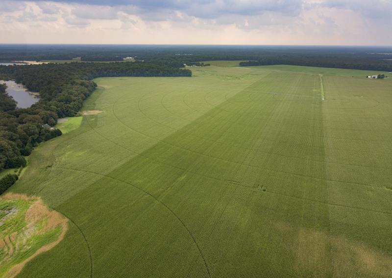 The Milton Planning and Zoning Commission unanimously voted to grant preliminary approval of the master plan for the proposed Granary at Draper Farm development. The plan will now head to town council for final approval before the matter goes back to planning and zoning for site-plan review. NICK ROTH PHOTO
