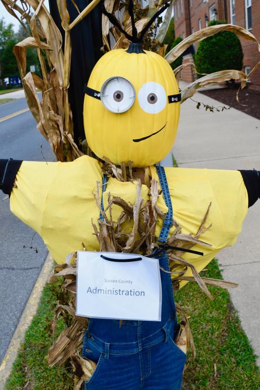 Sussex County Administration’s Minion scarecrow keeps his eyes on the comings and goings outside the county administration building.