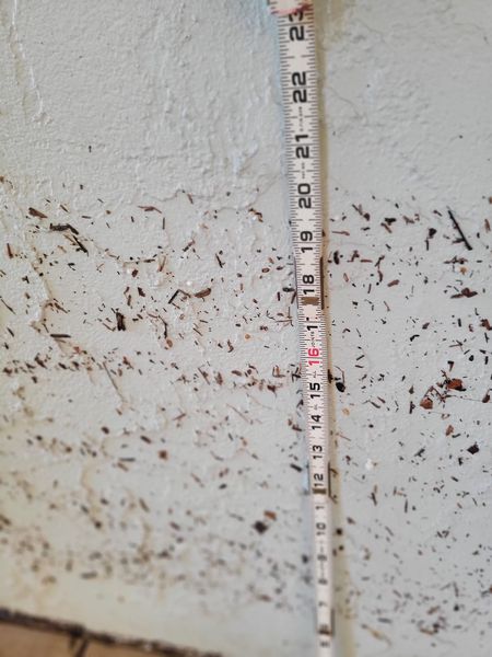 The Longs’ home had nearly 2 feet of water inside as winds and water from Ian inundated their island community.