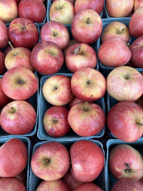 MCINTOSH APPLES EACH  Green Acres Farmers Market