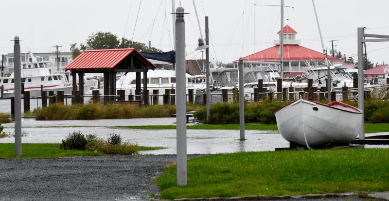 Water from the Lewes-Rehoboth Canal begins to spill over onto Canalfront Park in downtown Lewes. RON MACARTHUR PHOTO