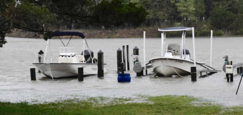 Where are the docks? They are under the waters of the Lewes-Rehoboth Canal along Pilottown Road in Lewes. RON MACARTHUR PHOTO