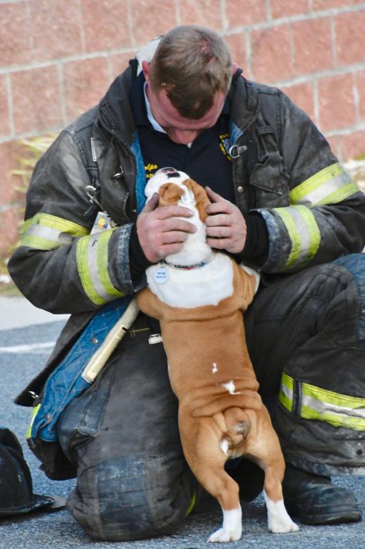 Lewes firefighter Christopher Colpo gets some up-close time with his 3-month-old English Bulldog, Goose, who attracted a lot of attention during the open house.
