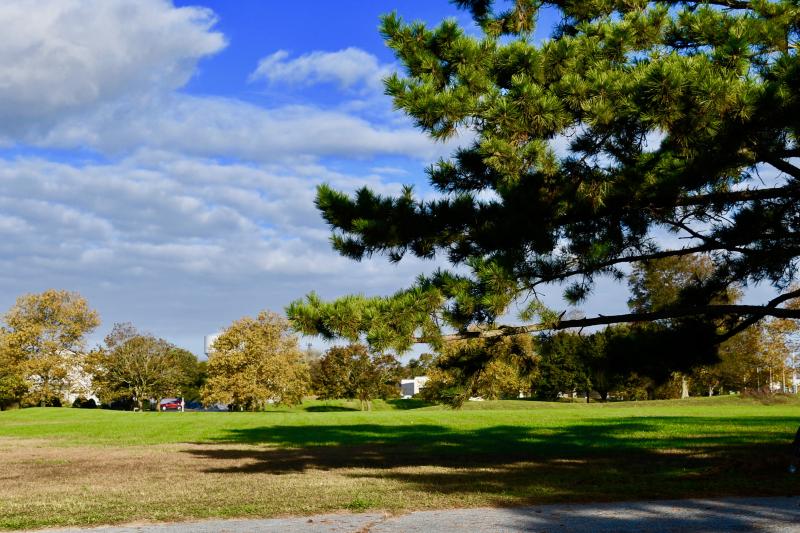 The new townhouses in Spring Lake will be built on a 8.5-acre parcel of open space along Route 1 on both sides of the community’s entrance way. RON MACARTHUR PHOTO