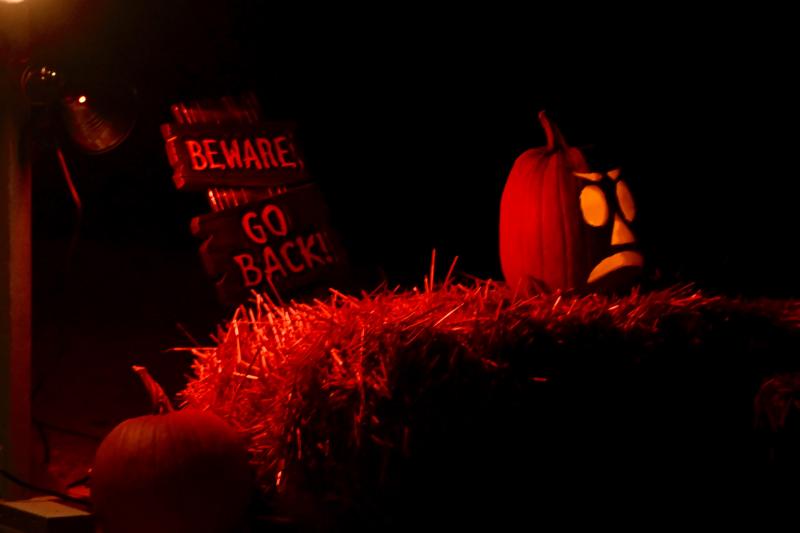 Welcome to the Lewes Historical Society Boos & Brews Oct. 28 at their historical complex campus. The event featured music, food and drink, story telling and a Halloween costume contest.