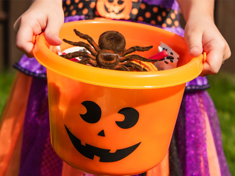 Trickortreat activities in southern Delaware Cape Gazette