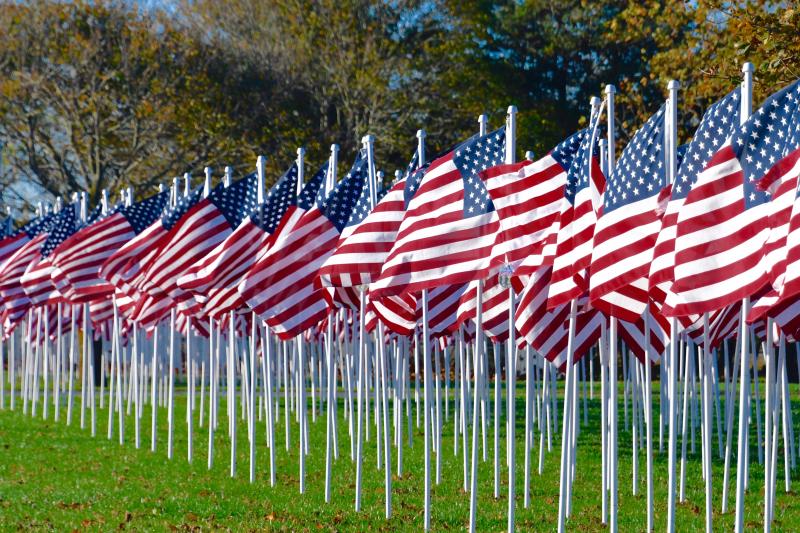 The Lewes-Rehoboth Rotary Club’s Flags for Heroes line Kings Highway in time for election day and in honor of Veterans Day on Nov. 11. RON MACARTHUR PHOTO