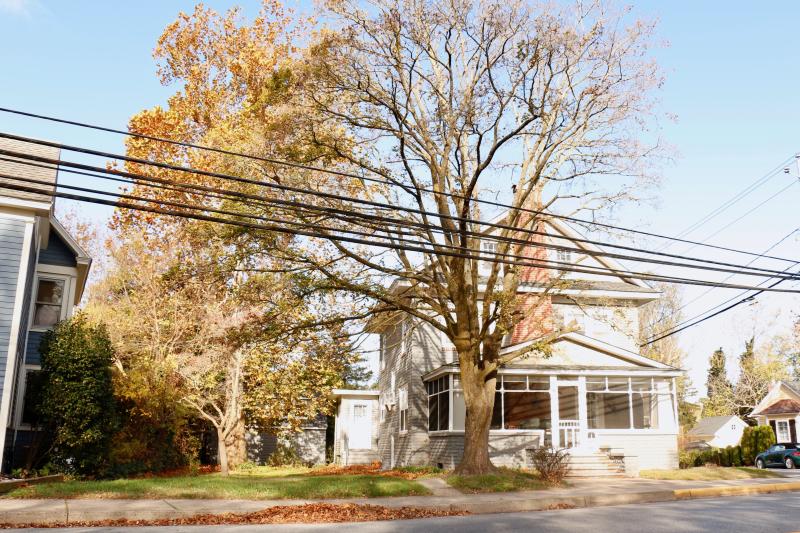 A tree-planting requirement of 1 per 2,500 square feet would make it common for newly developed properties to have two to four trees growing within the property lines. This home on Kings Highway is an example of what that could look like.