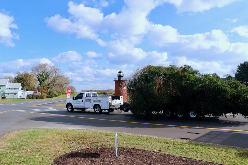 One of the focal points of Lewes holiday celebrations begins its journey into the First Town in the First State.