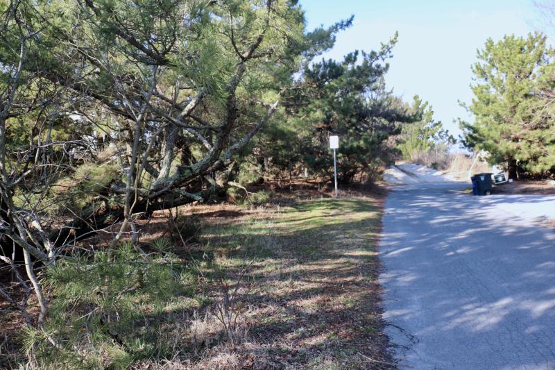 A bike rack at Michigan Avenue would be the last available choice for cyclists along Cedar Street before Roosevelt Inlet. Officials say the racks at Roosevelt Inlet fill up quickly during summer.