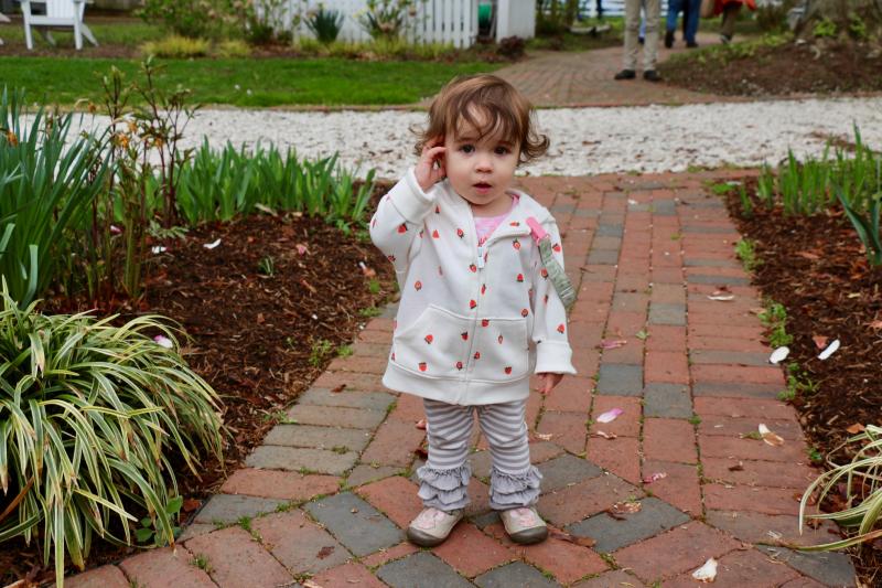 Lucia Velazquez started out very determined to lead her family somewhere, but after a few steps she could berry-ly remember where she was going.