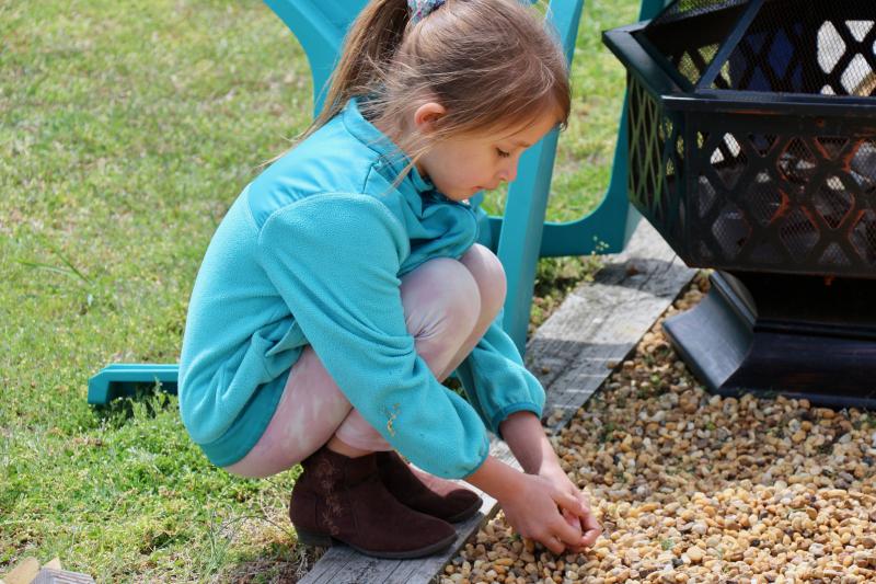 Nadiya Nelson shows off how nimble she can be as she stands on the frame to gather up unwanted growth in the pebbles.