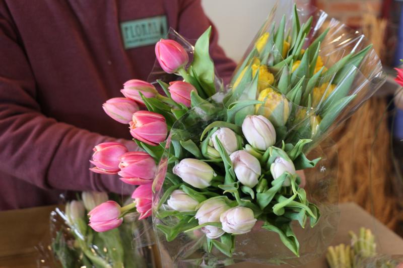 There are a wide variety of different tulips. These double tulips are on display at Floral Inspirations on East Savannah Road.