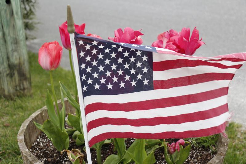 The City of Lewes has been named the most beautiful city in its population category by America in Bloom multiple times, thanks in part to the work of Lewes In Bloom.