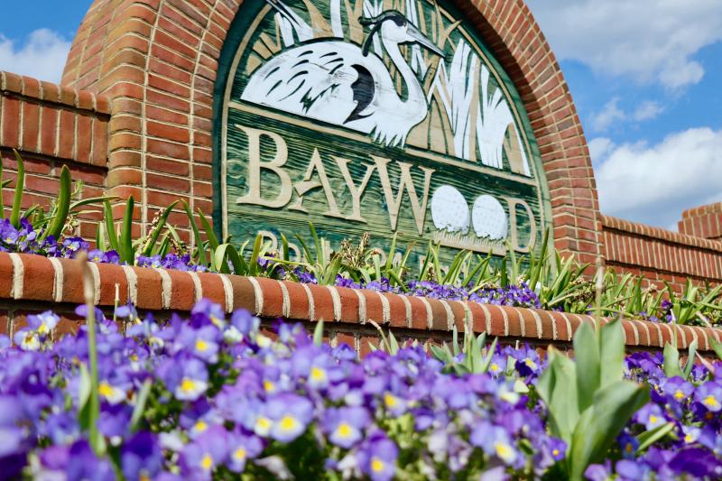 Baywood landscaping has its roots in color. The owners wanted the neighborhood to be filled with colorful plants and flowers.