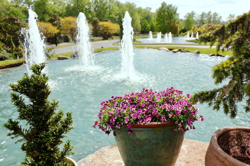 An instant eye grabber in Baywood is the look over the fountains. Plants and flowers provide nice framing.