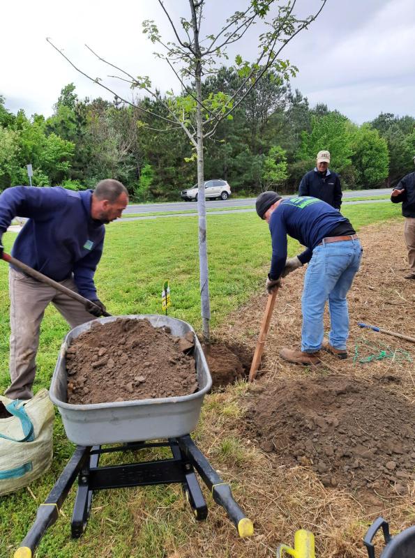 Deputy Mayor Khalil Saliba oversees the dirt fill of Great Marsh Park’s newest leafy resident. Shown are (l-r) Sussex Tree’s Ray Pabon and Barry Shay, and Kaliba.