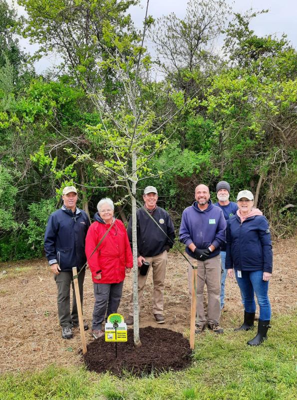 The seeds have been planted in this public-private partnership between Sussex Tree and the City of Lewes. This red oak could grow as high as 60 feet, providing shade for visitors to Great Marsh Park, a habitat for wildlife and oxygen for all. Shown are (l-r) Deputy Mayor Kahlil Saliba, Lewes Tree Commissioner Mardi Thompson, Parks and Recreation Commissioner Bill Adelman, Sussex Tree’s Ray Pabon and Barry Shay, and Parks and Recreation Commission Chair Janet Reeves.